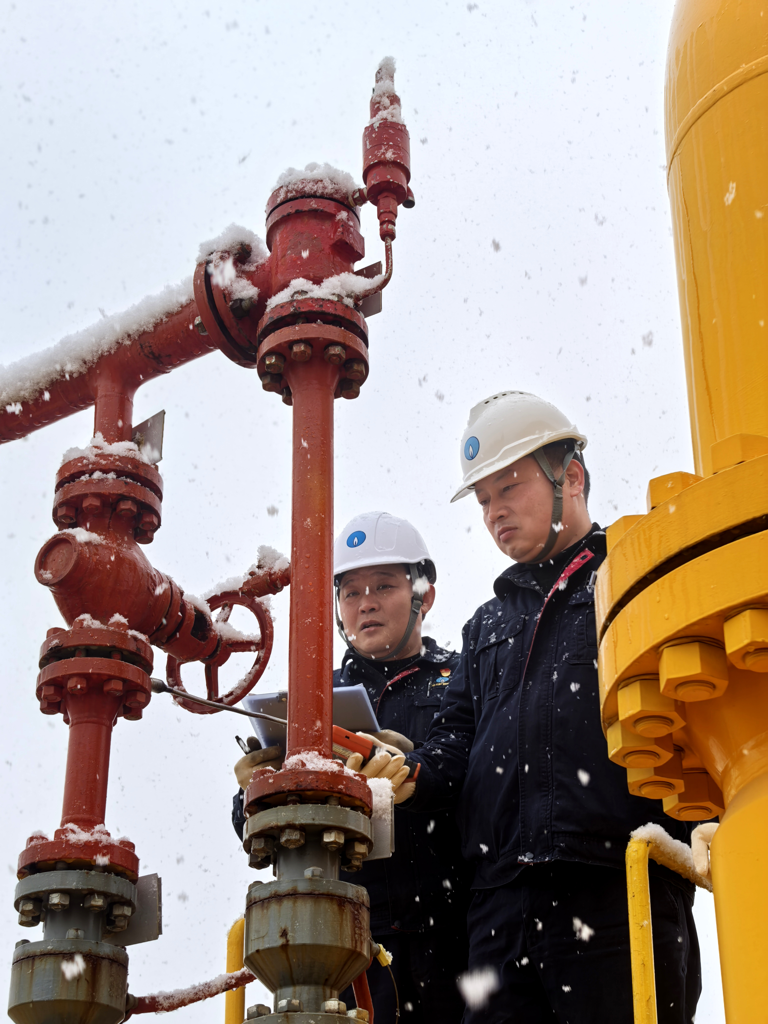 2026保供有我 (2).jpg