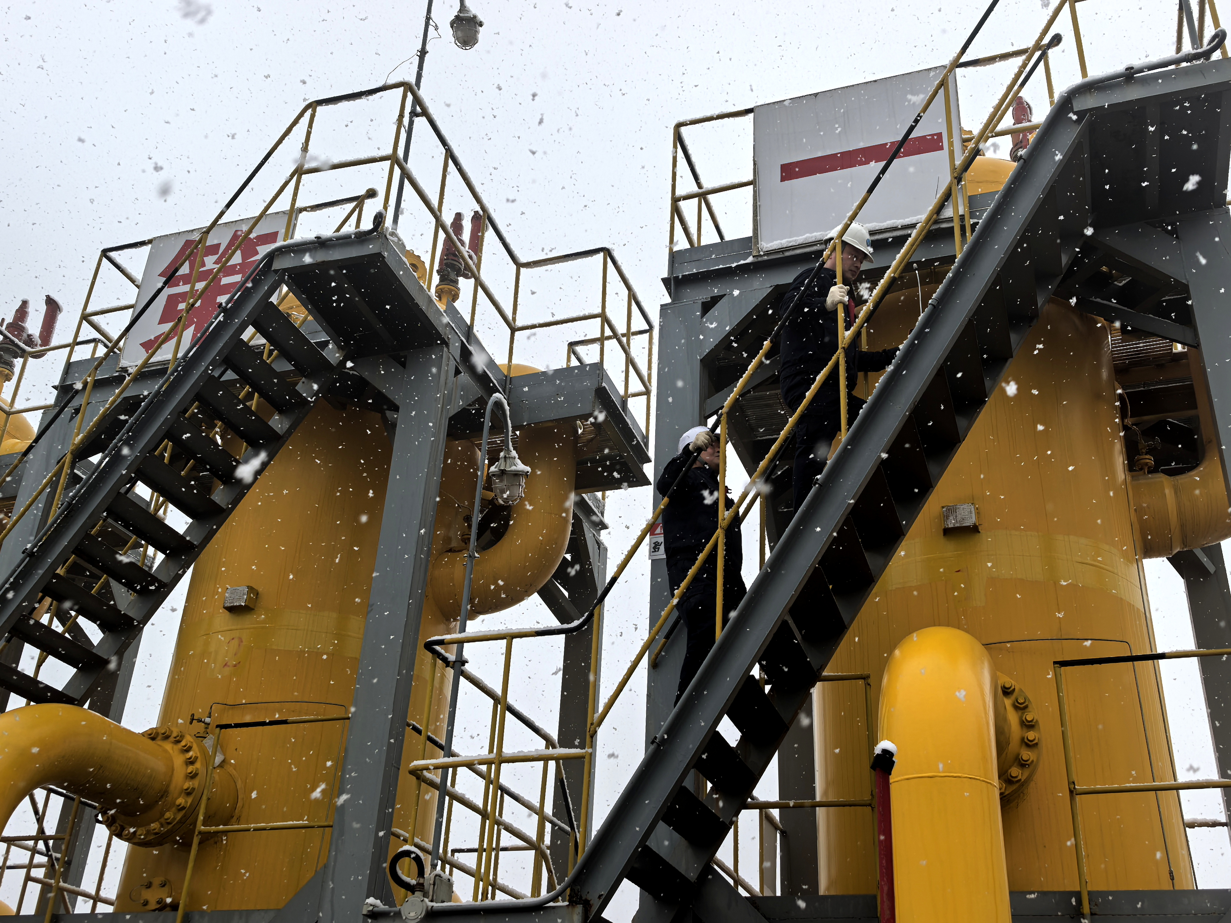 2026保供有我 (3).jpg