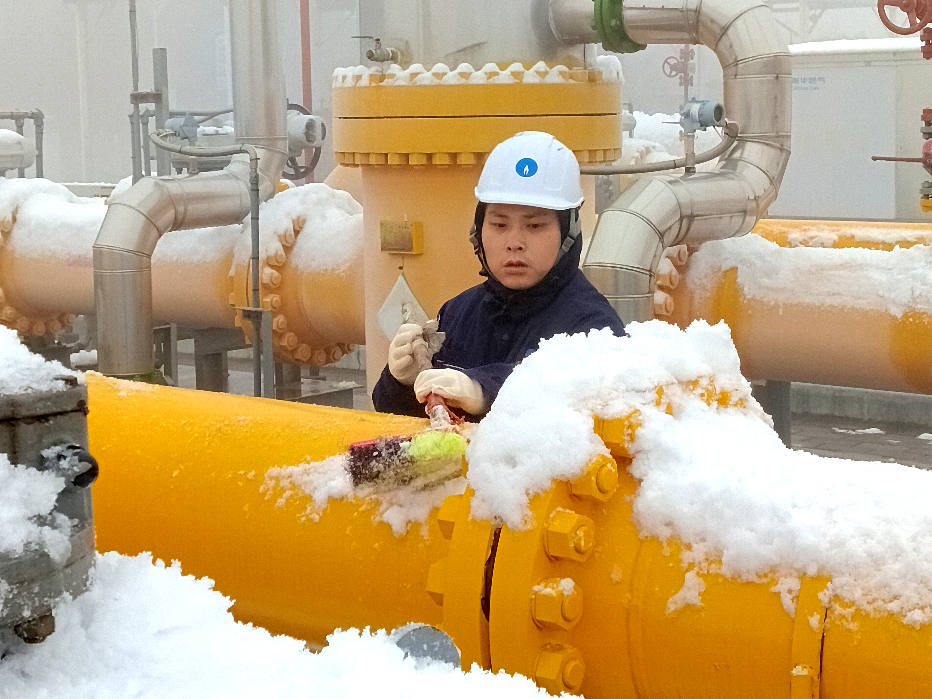 2026保供有我 (5).jpg