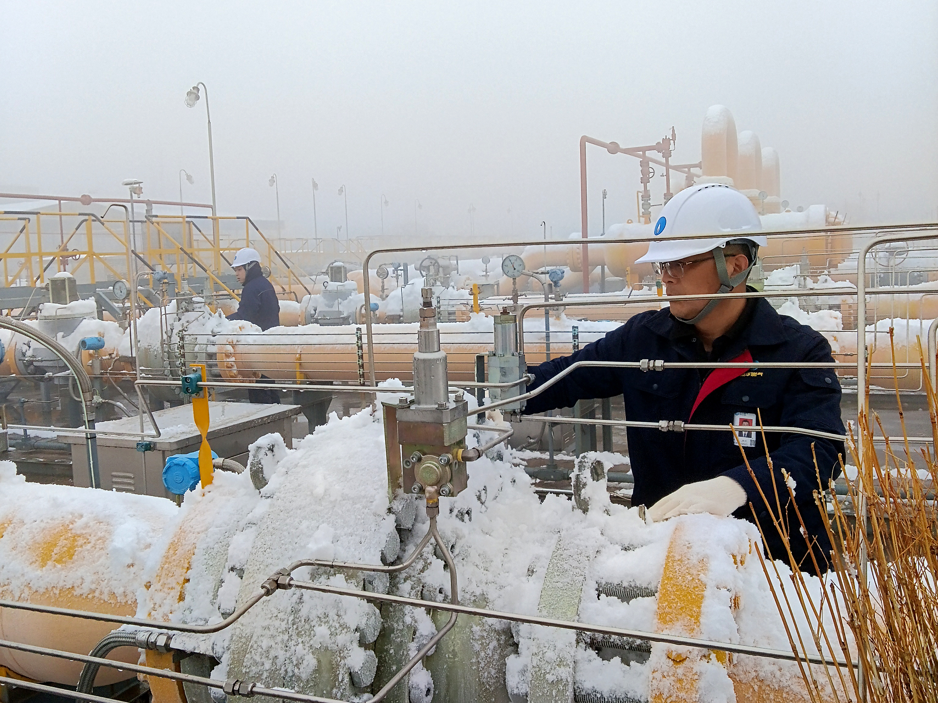 2026保供有我 (6).jpg